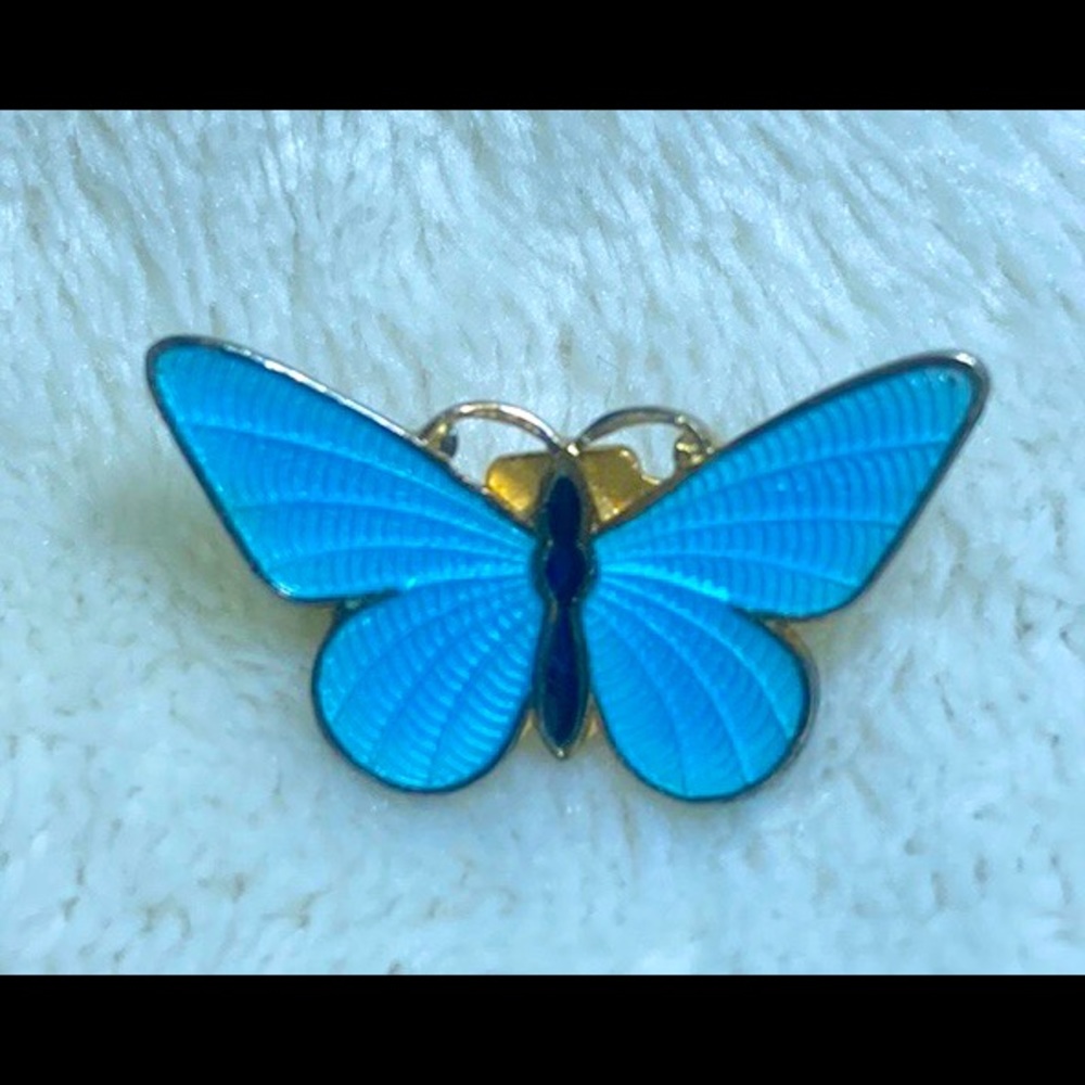 Butterfly pin